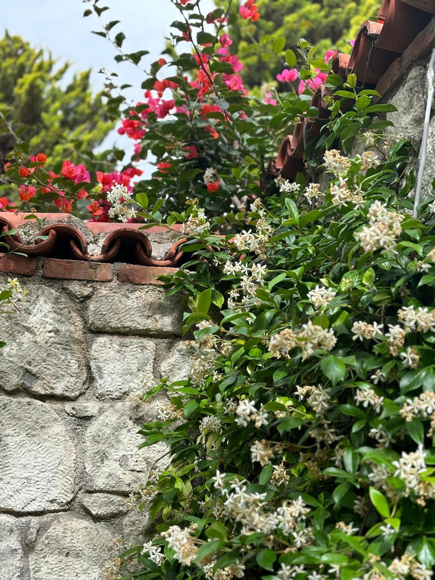 Tasdelen 4* Alaçatı